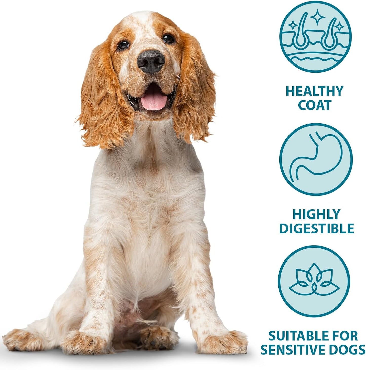 Burns Adult/Senior Dogs Sensitive Grain Free Turkey & Potato - 6kg