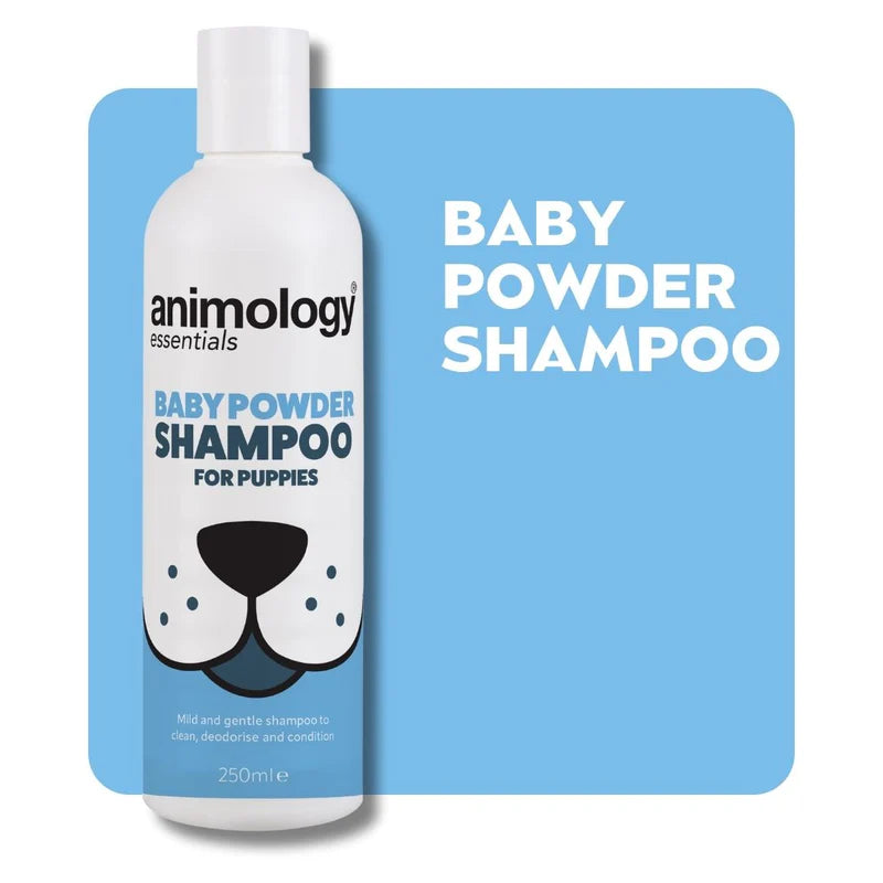 Animology Essentials Baby Powder Shampoo - 250ml