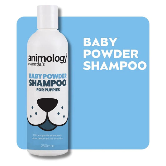 Animology Essentials Baby Powder Shampoo - 250ml