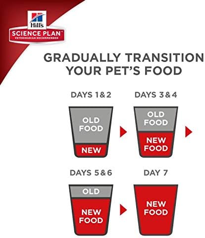 Elevate Your Senior Cat's Golden Years with Nutrient-Rich Chicken Delight