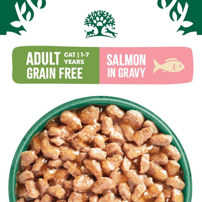 James Wellbeloved Grain Free Adult Cat Food Pouches Salmon in Gravy (12 x 85g)
