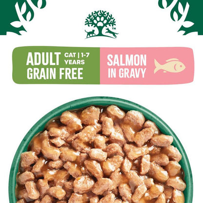 James Wellbeloved Grain Free Adult Cat Food Pouches Salmon in Gravy (12 x 85g)