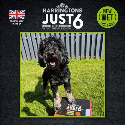 Harringtons Just 6 Lamb ( 380g x 8 )