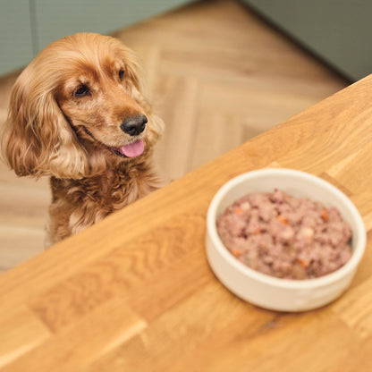 Lily's Kitchen Dog Fishy Fish Pie ( 400g x 6 )