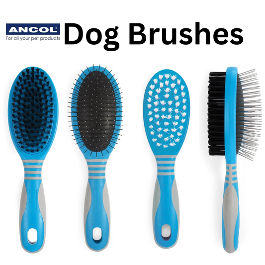 Ancol Ergo Dog & Cat Grooming Brush Range – Bristle, Pin & Double Sided Brushes