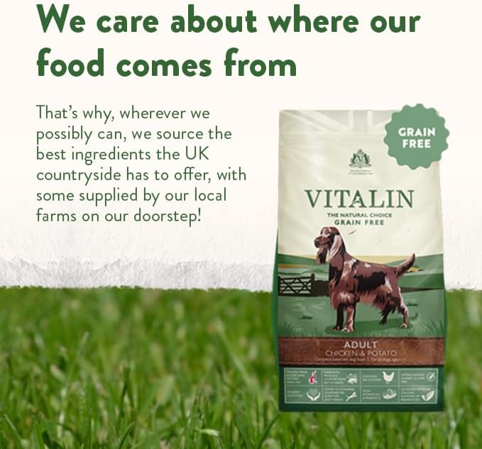 Vitalin - The Natural Choice Complete Dry Adult Dog Food - Chicken and Potato 12 kg