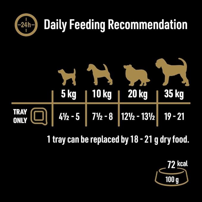 CESAR NATURAL GOODNESS Grain Free Dog Food Casserole with Chicken ( 100g x 16 )