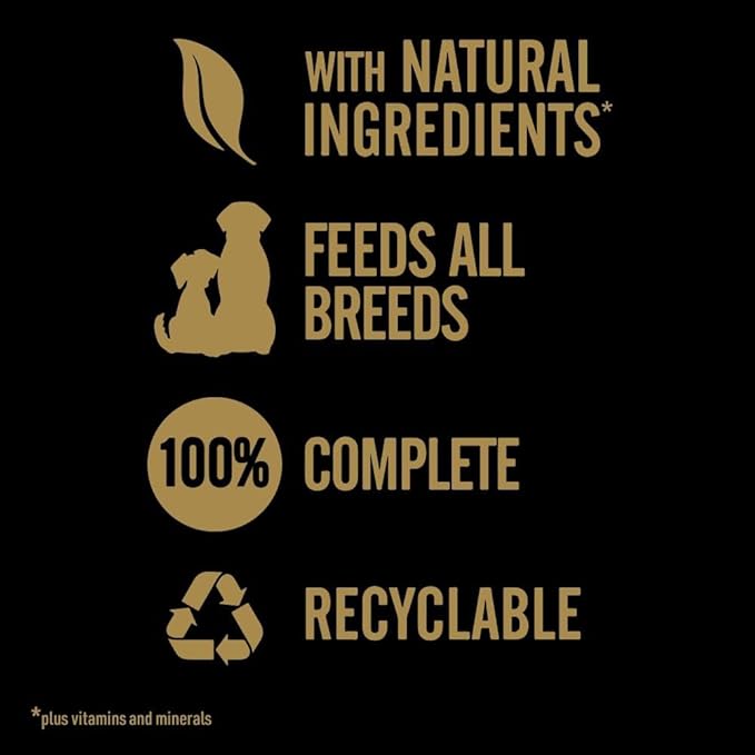 CESAR NATURAL GOODNESS Grain Free Dog Food Casserole with Chicken ( 100g x 16 )