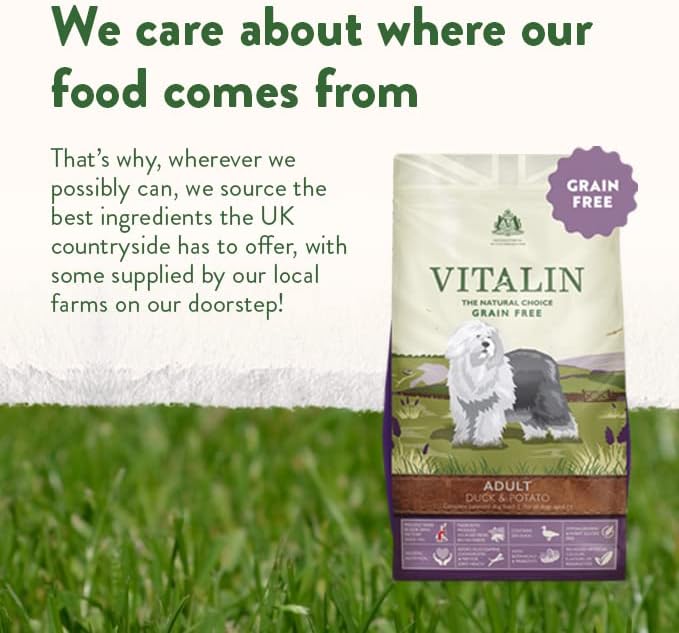 Vitalin The Natural Choice Complete Dry Grain Free Adult Dog Food Duck and Potato