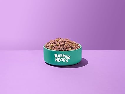Barking Heads Beef Waggington ( 300g x 10 )