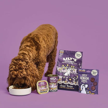 Lily's Kitchen Dog 8+ Salmon & Trout - 2.5kg