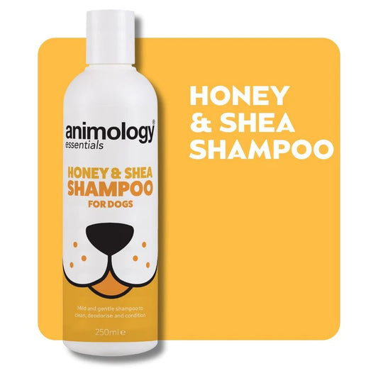 Animology Essentials Honey & Shea Shampoo - 250ml