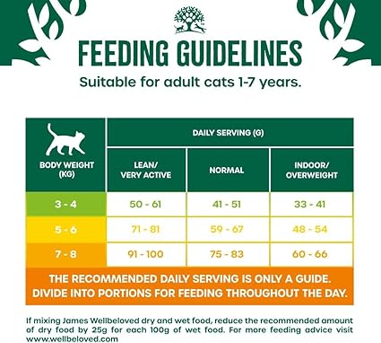 James Wellbeloved Adult Dry Cat Food Turkey - 4kg