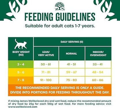 James Wellbeloved Adult Dry Cat Food Turkey - 4kg