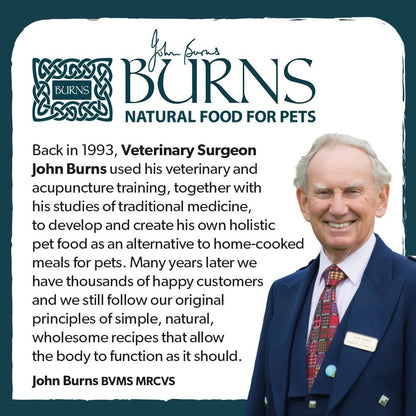 Burns Pet Nutrition Hypoallergenic Complete Dry Dog Food Adult and Senior Dog Grain Free Turkey and Potato Grain Free 2 kg