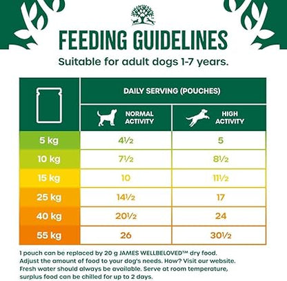 James Wellbeloved Adult Wet Dog Food Turkey & Rice Mega Pack Pouch (48 x  90g )