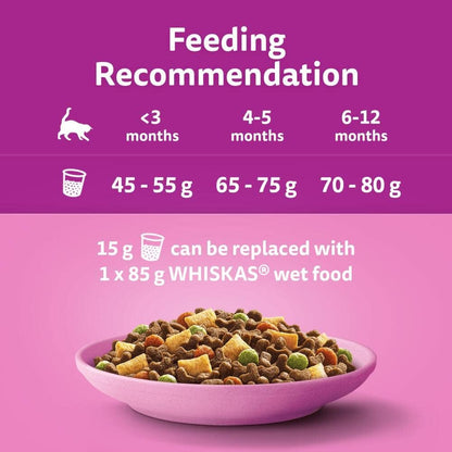 Elevate Your Wise Senior Cat's Dining Experience with Tailored Delicacies