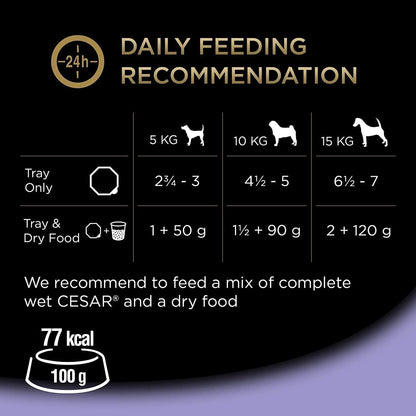 Cesar Classics Terrine - Wet Dog Food for Adult Dogs - Wet Foils Tray with Lamb and Chicken in Jelly - 14 x 150 g