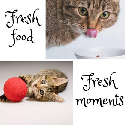 Elevate Your Senior Cat's Golden Years with Nutrient-Rich Chicken Delight