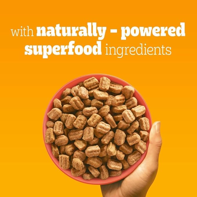 Pedigree Complete Adult Dry Dog Food Beef and Vegetables -12kg