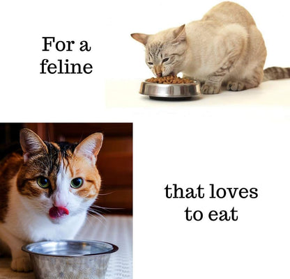 Elevate Your Senior Cat's Golden Years with Nutrient-Rich Chicken Delight