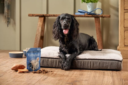 Forthglade Natural Dog Treats - Grain Free Soft Bites for Training (8 x 90g) Resealable Bags - Chicken with Liver