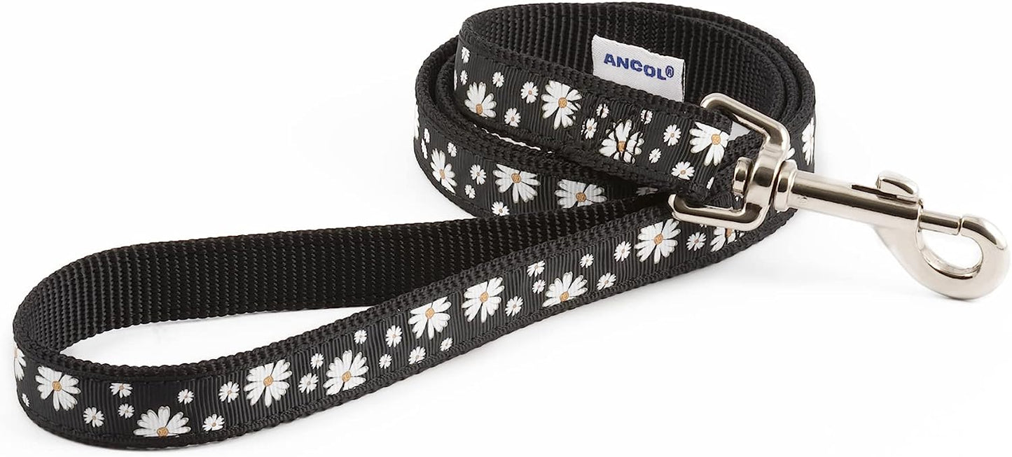 Ancol Patterned Collection Lead Black Daisy 1 m x 19mm,Transparent