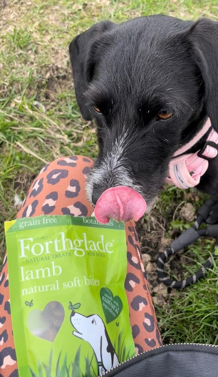 Forthglade Natural Dog Treats - Grain Free Soft Bites Lamb Treats (8 x 90g)