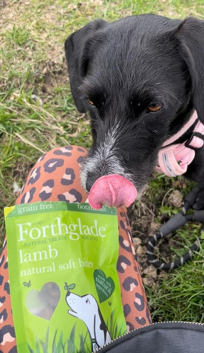 Forthglade Natural Dog Treats - Grain Free Soft Bites Lamb Treats (8 x 90g)