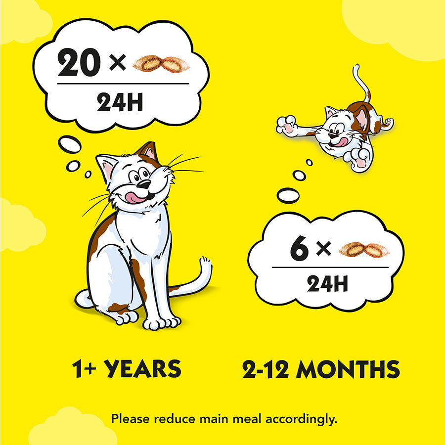 Dreamies Mix Cat Treats with Tasty Chicken & Delectable Duck ( 60g x 8 )