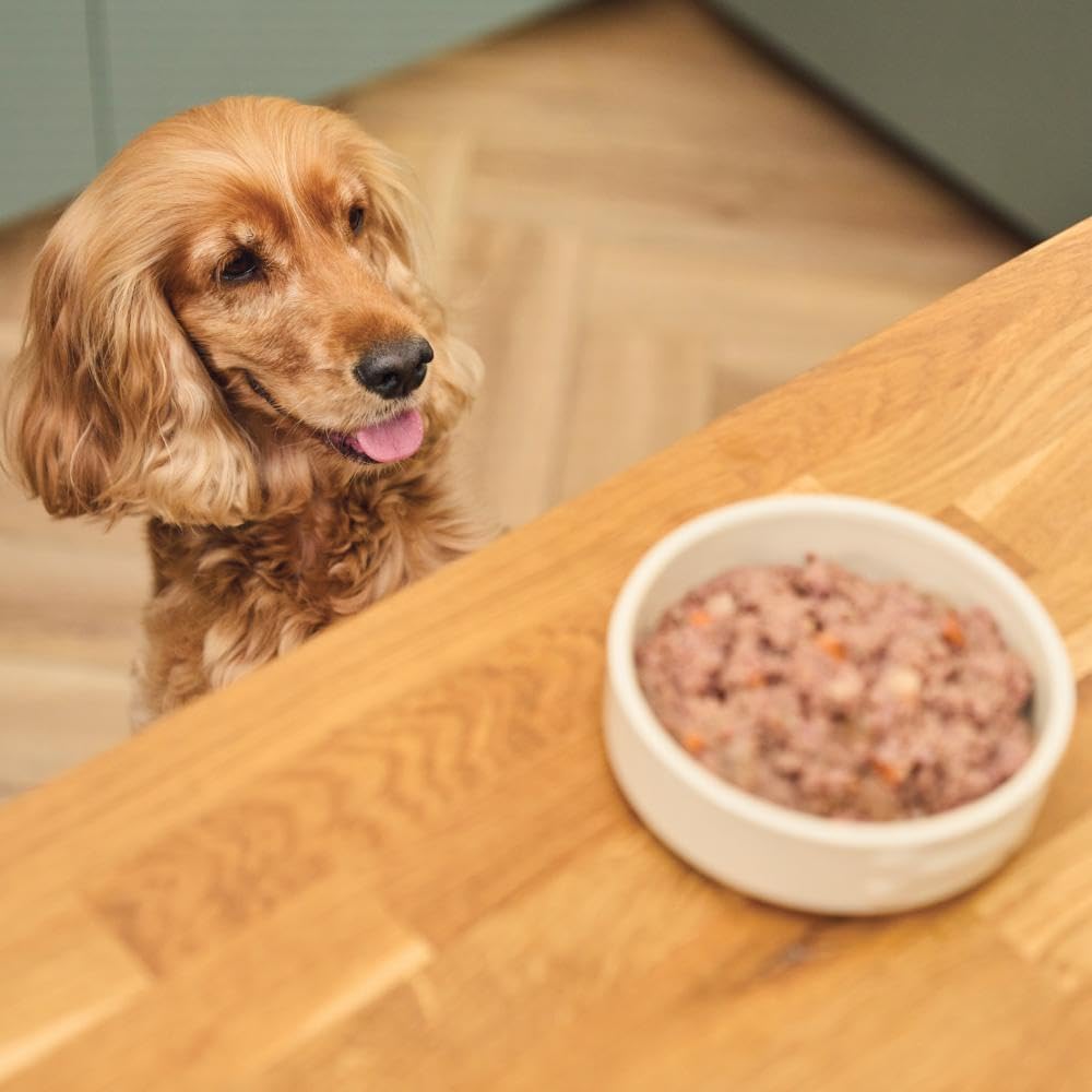 Lily's Kitchen Pasta Al Ragu Tin ( 400g x 6 )