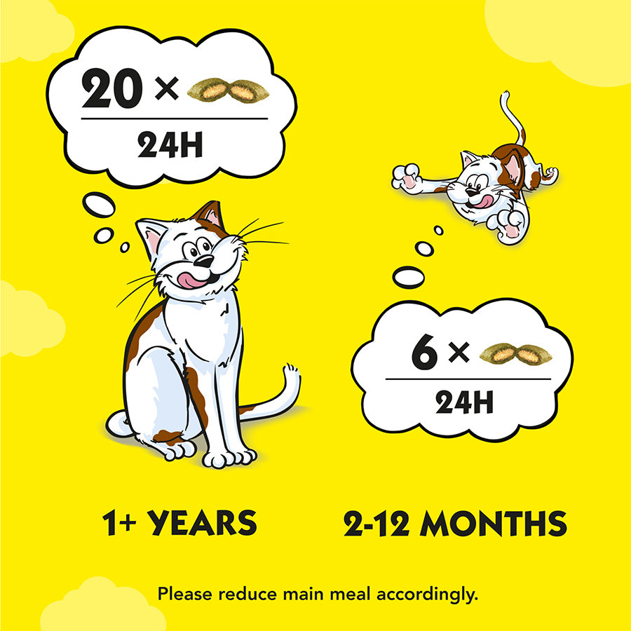 Dreamies Cat Treat Biscuits with Catnip (60g x 8)