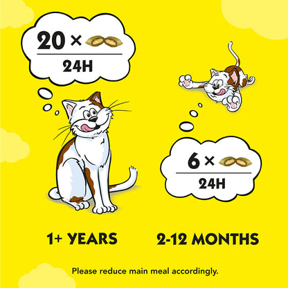 Dreamies Cat Treat Biscuits with Catnip (60g x 8)