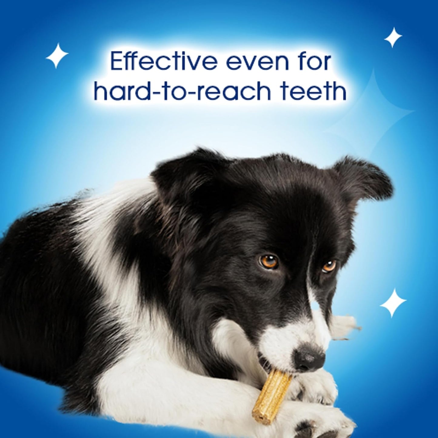 DENTALIFE Oral Care Large Dog Dental Chicken Treats for Dog - 36 stk x 2