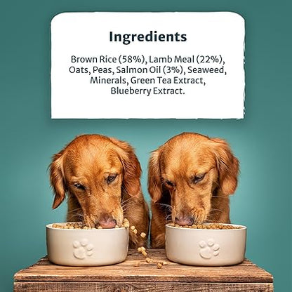 Burns Alert Assistance Lamb and Brown Rice - 12kg