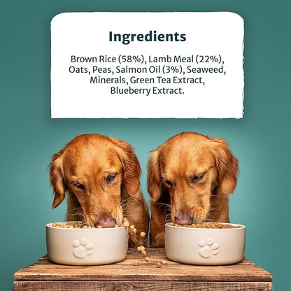 Burns Alert Assistance Lamb Dry Dog Food - 6kg