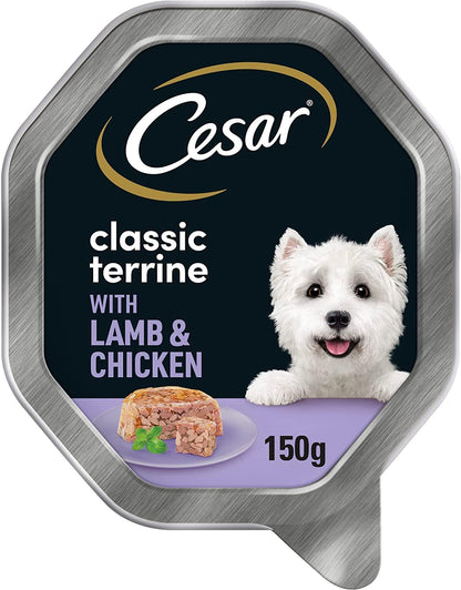 Cesar Classics Terrine - Wet Dog Food for Adult Dogs - Wet Foils Tray with Lamb and Chicken in Jelly - 14 x 150 g