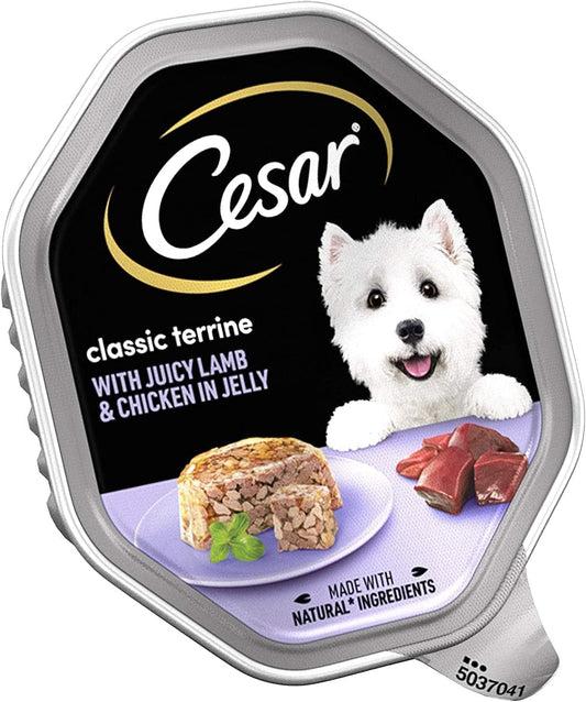 Cesar Classics Terrine - Wet Dog Food for Adult Dogs - Wet Foils Tray with Lamb and Chicken in Jelly - 14 x 150 g