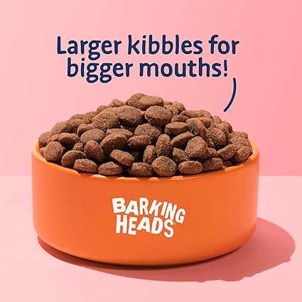 Barking Heads Big Foot Golden Years Chicken - 12kg
