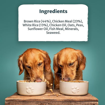 Burns Adult Small Toy Breed Dry Dog Food - 6kg