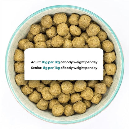 Burns Sensitive Fish and Wholegrain Maize - 6kg