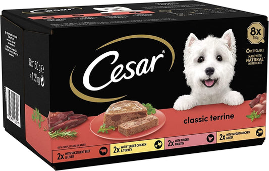 Cesar Classic Terrine in Jelly, Adult Premium Wet Dog Food, Mixed Selection,