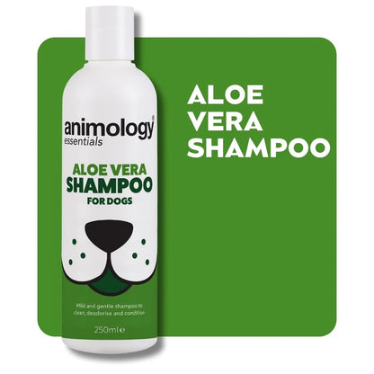 Animology Essentials Aloe Vera Shampoo - 250ml
