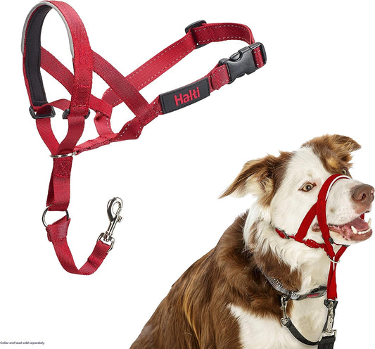 HALTI Headcollar, UK Bestselling Dog Head Harness to Stop Pulling on the Lead, Easy to Use, Padded Nose Band, Professional Anti-Pull Training Aid for Medium Dogs