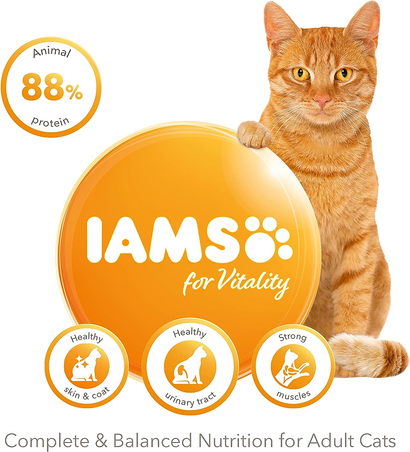 IAMS Adult Dry Cat Food With Tuna 2kg