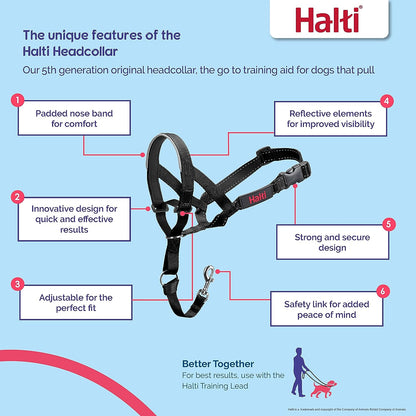 UK Bestselling Dog Head Harness to Stop Pulling on the Lead, Easy to Use, Padded Nose Band, Adjustable & Reflective, Professional Anti-Pull Training Aid for Small Dogs