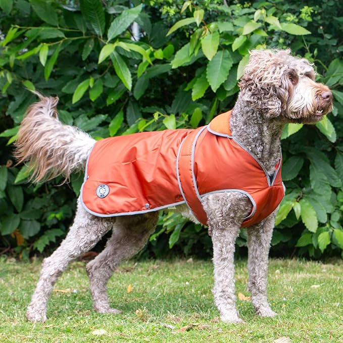 Ancol Stormguard Coat Terracotta ( XS - XXL )
