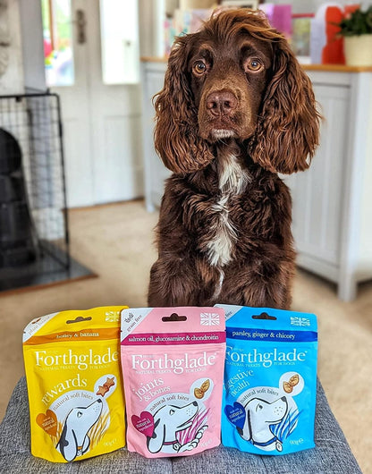 Forthglade Natural Dog Treats for Digestive Health - Grain Free Soft Bites (8 x 90g) Resealable Bags - for Dogs aged 2 Months+