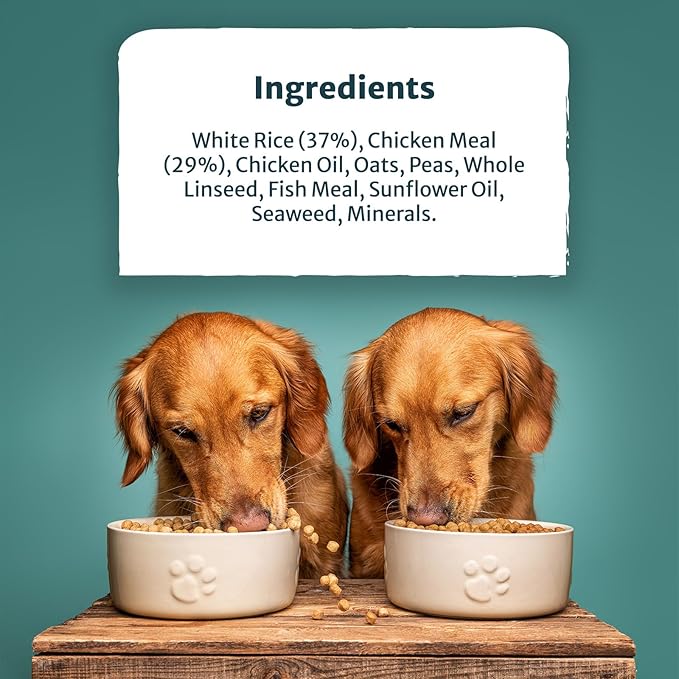 Burns Active Working Chiken and Rice - 12kg