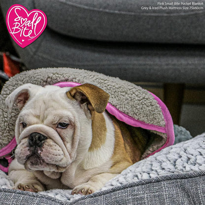 "Small Bite Hooded Pocket Blanket Pink 60 x 60 cm: Cozy Comfort and Convenience for Your Beloved Pet"